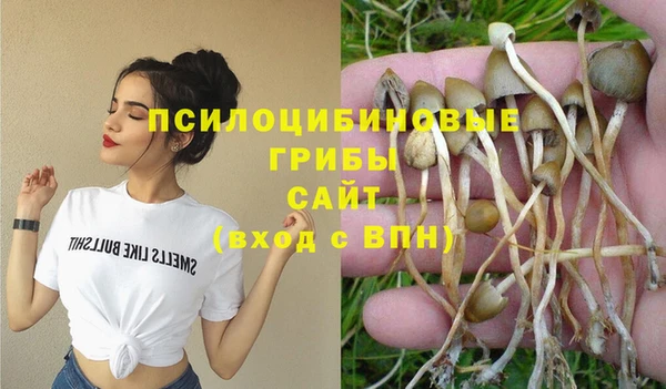 мдпв Краснотурьинск