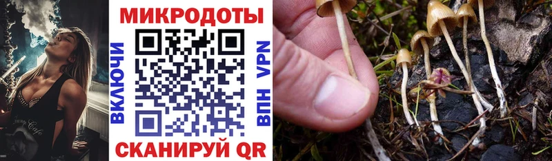Псилоцибиновые грибы GOLDEN TEACHER  Купить  Торжок 