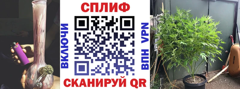 Купить закладки  Торжок  Конопля MAZAR
